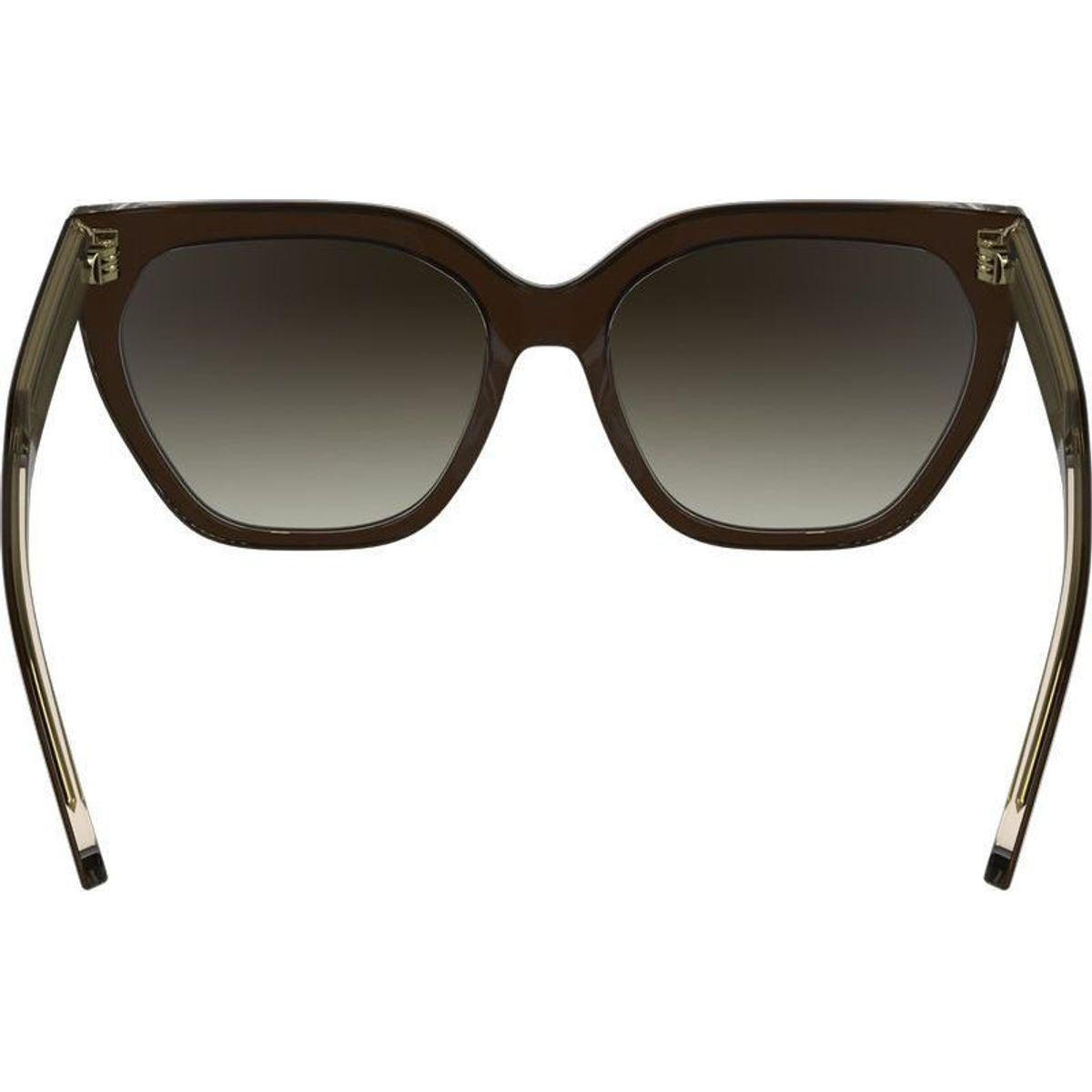 CK24535S, Brown Light Brown/Brown Gradient Lenses