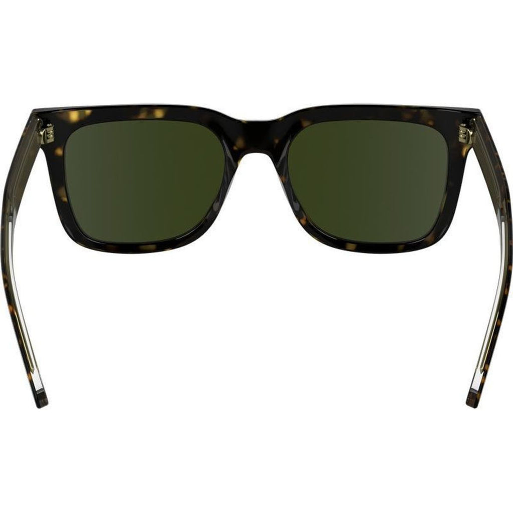 CK24536S, Dark Havana/Green Lenses
