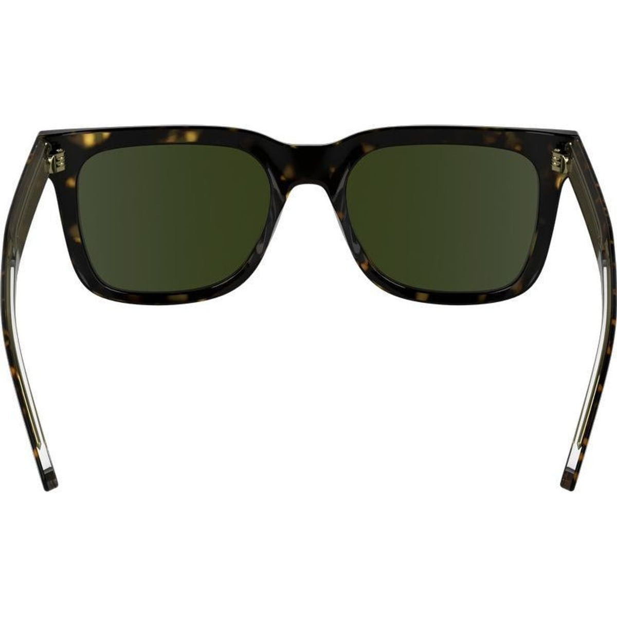 CK24536S, Dark Havana/Green Lenses