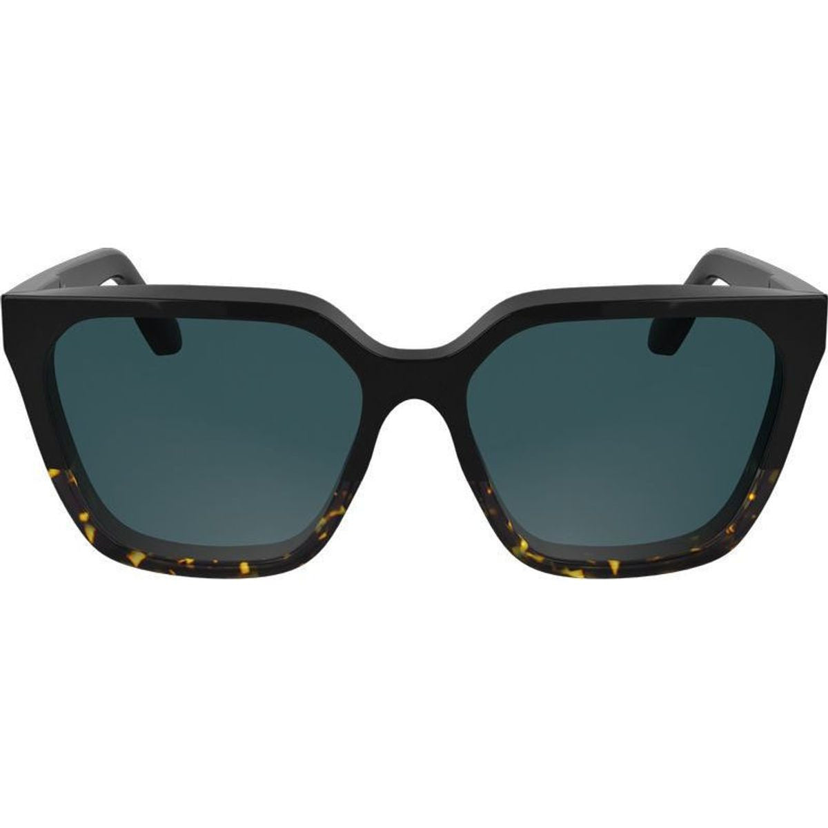 CK25500S, Black Havana/Petrol Blue Lenses