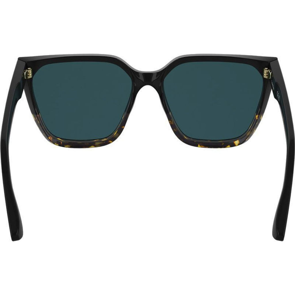 CK25500S, Black Havana/Petrol Blue Lenses