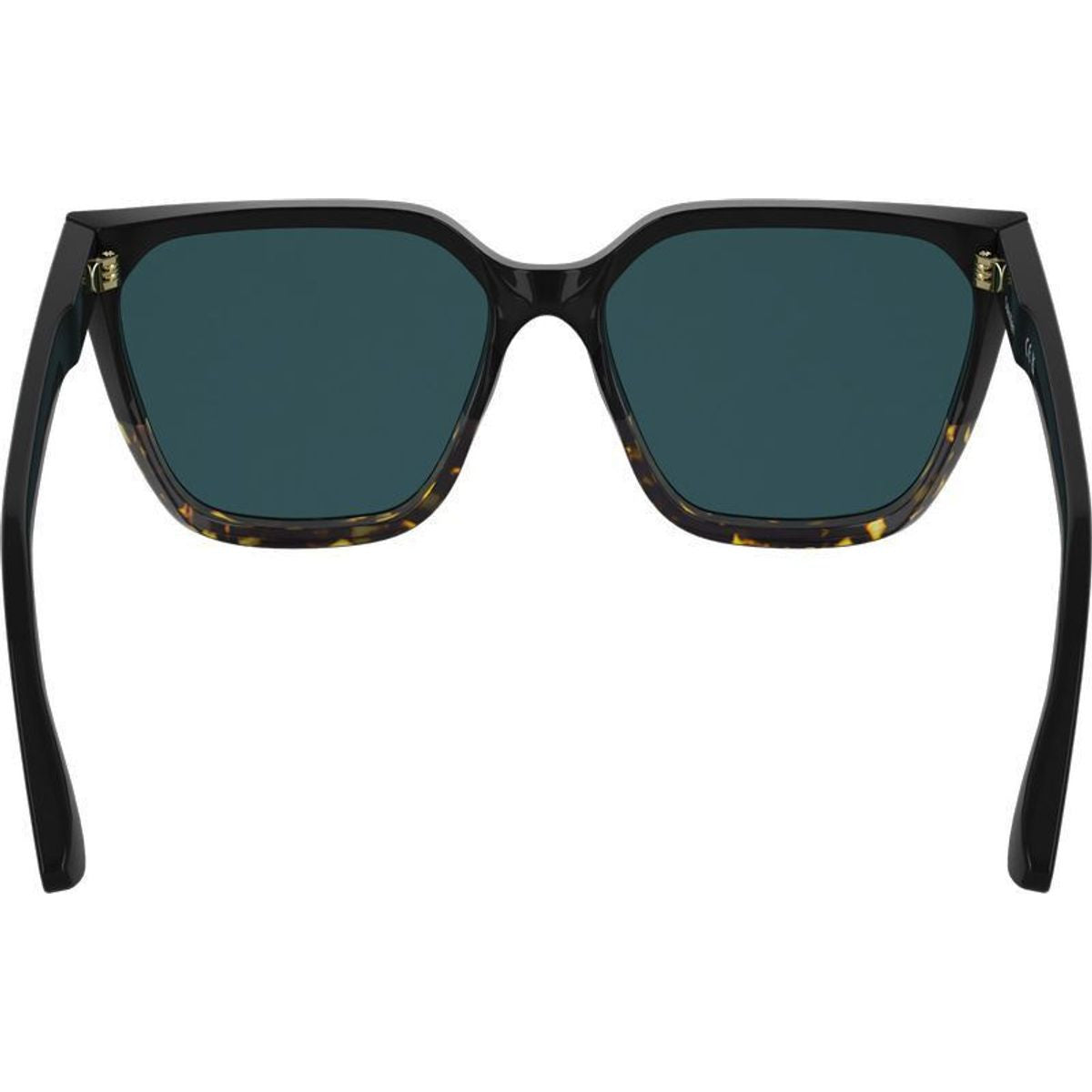 CK25500S, Black Havana/Petrol Blue Lenses