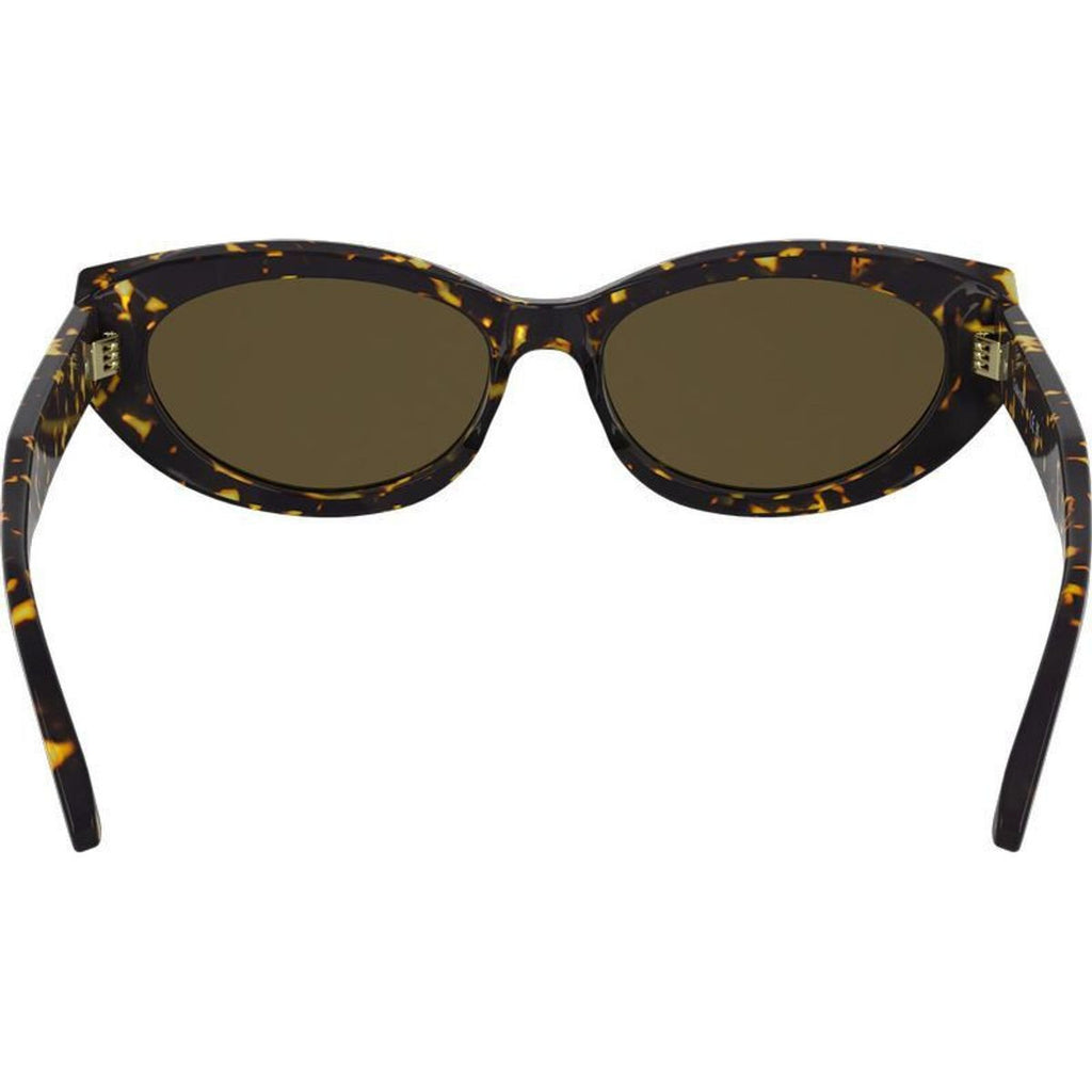 CK25502S, Havana/Brown Lenses