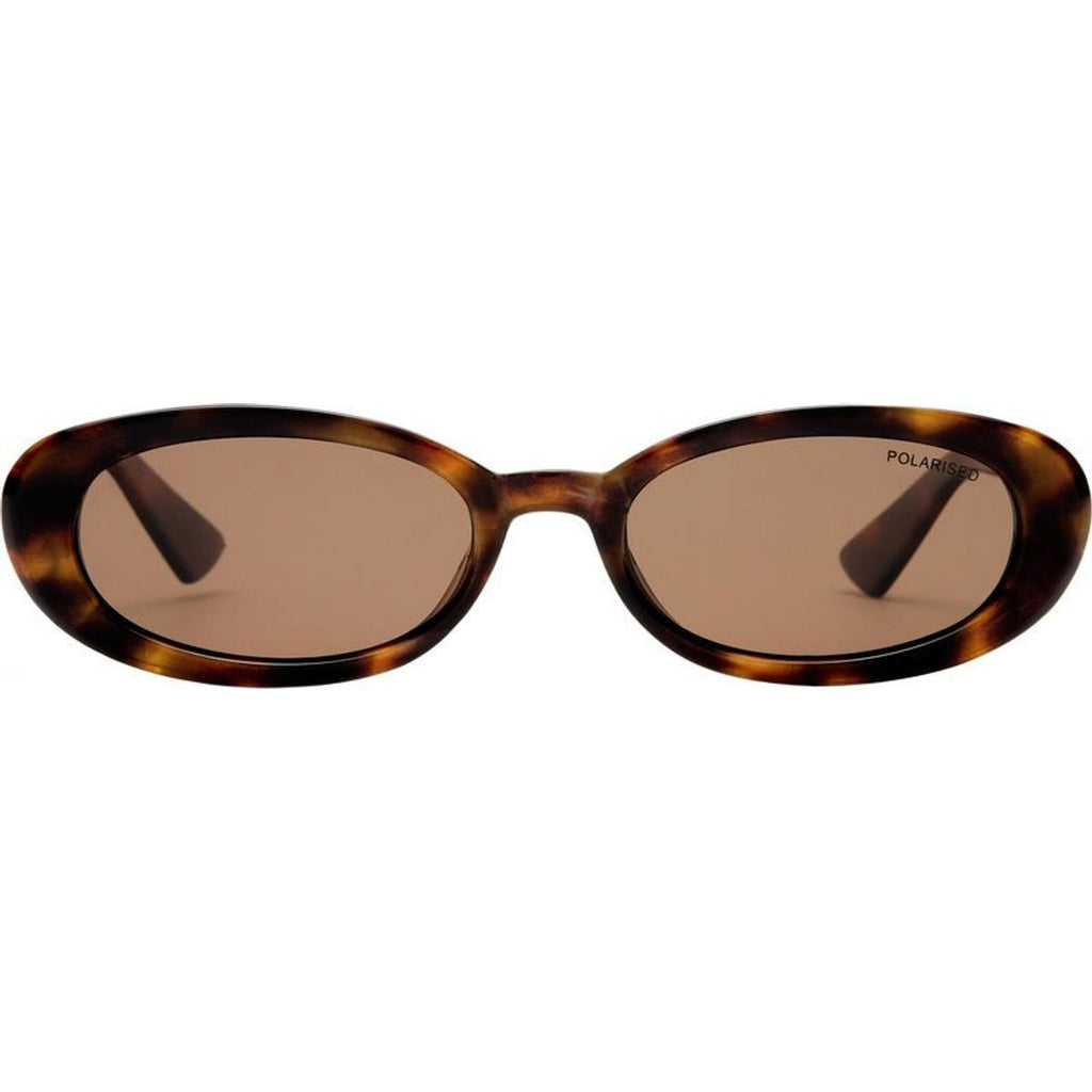 Northbridge, Amber Tort/Brown Polarised Lenses