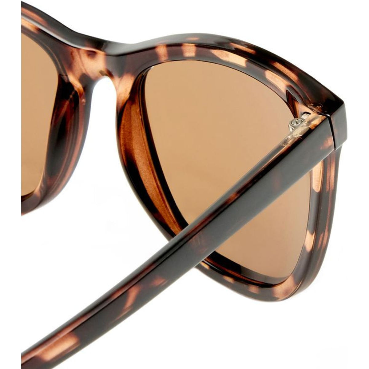 Parklea Petite, Dark Tort/Brown Polarised Lenses