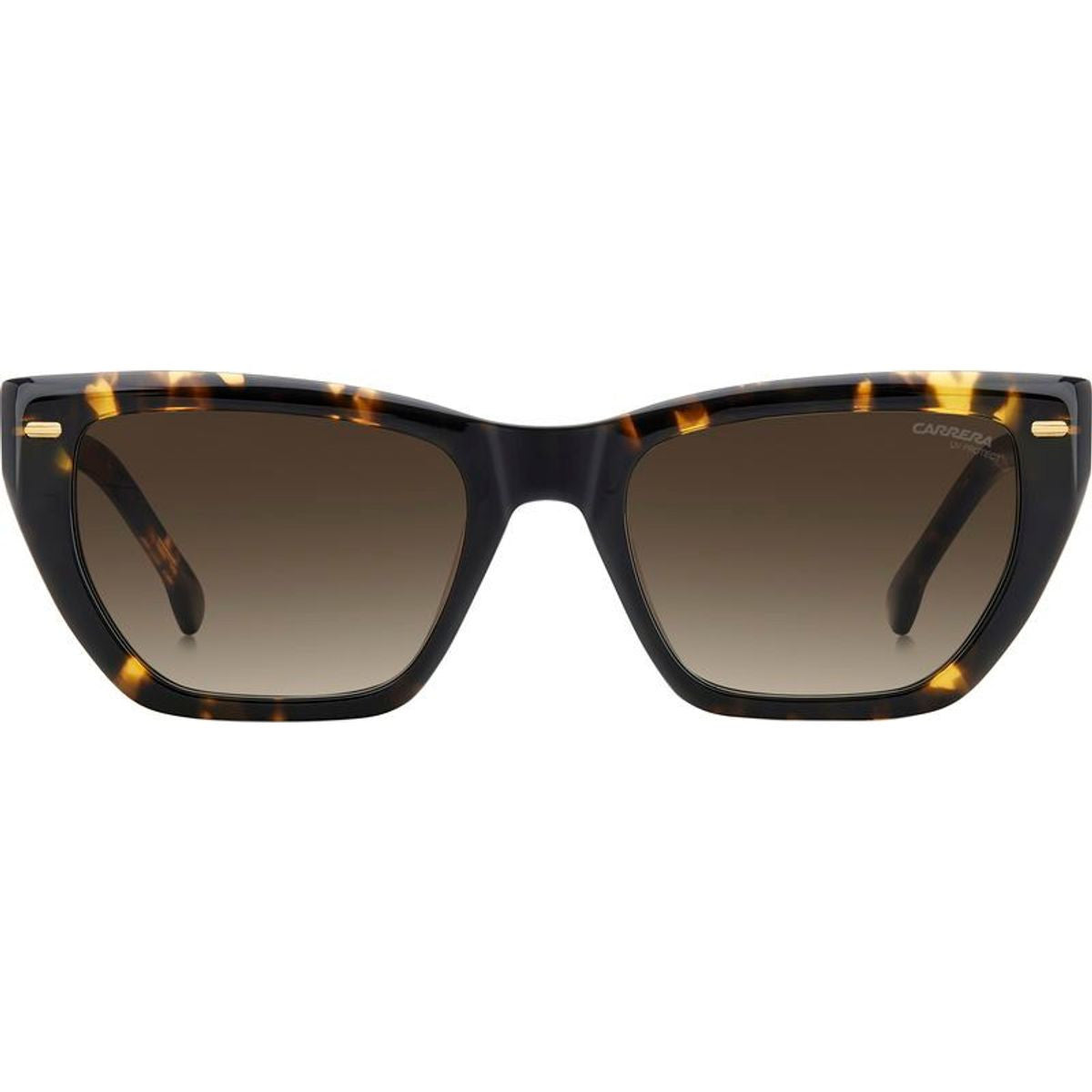 3081/S, Havana/Brown Gradient Lenses