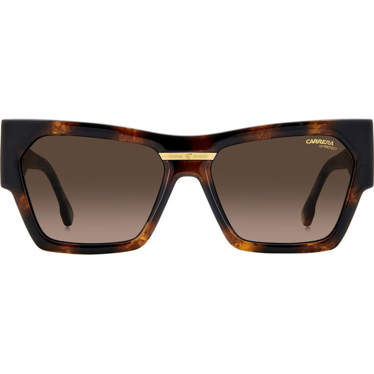 Victory C 19/S, Havana/Brown Gradient Lenses