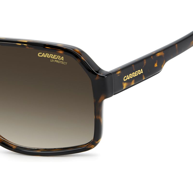 Carrera 1001/S Havana Brown Gradient Side2