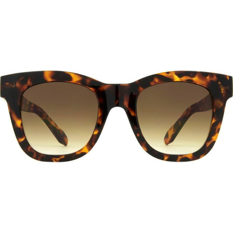 Elba, Gloss Tort/Brown Gradient Lenses