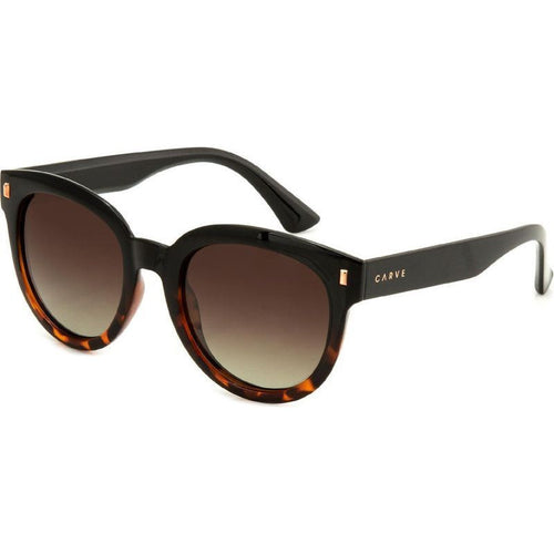 Harpo, Gloss Black Tort/Brown Gradient Polarised Lenses