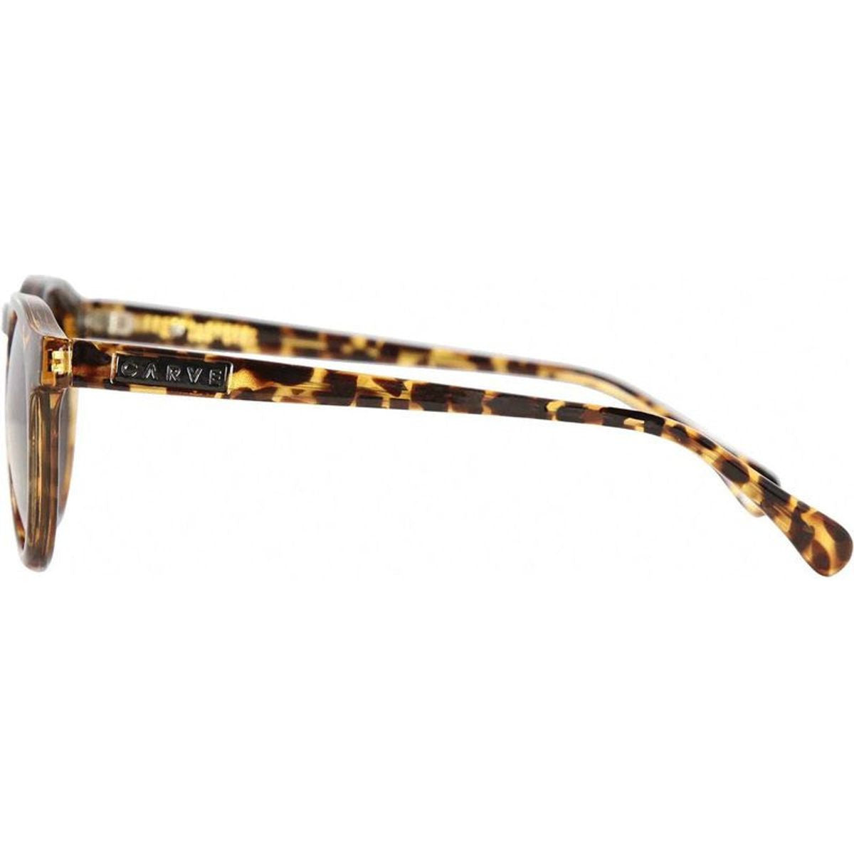 Hudson, Valencia Tort/Grey Lenses