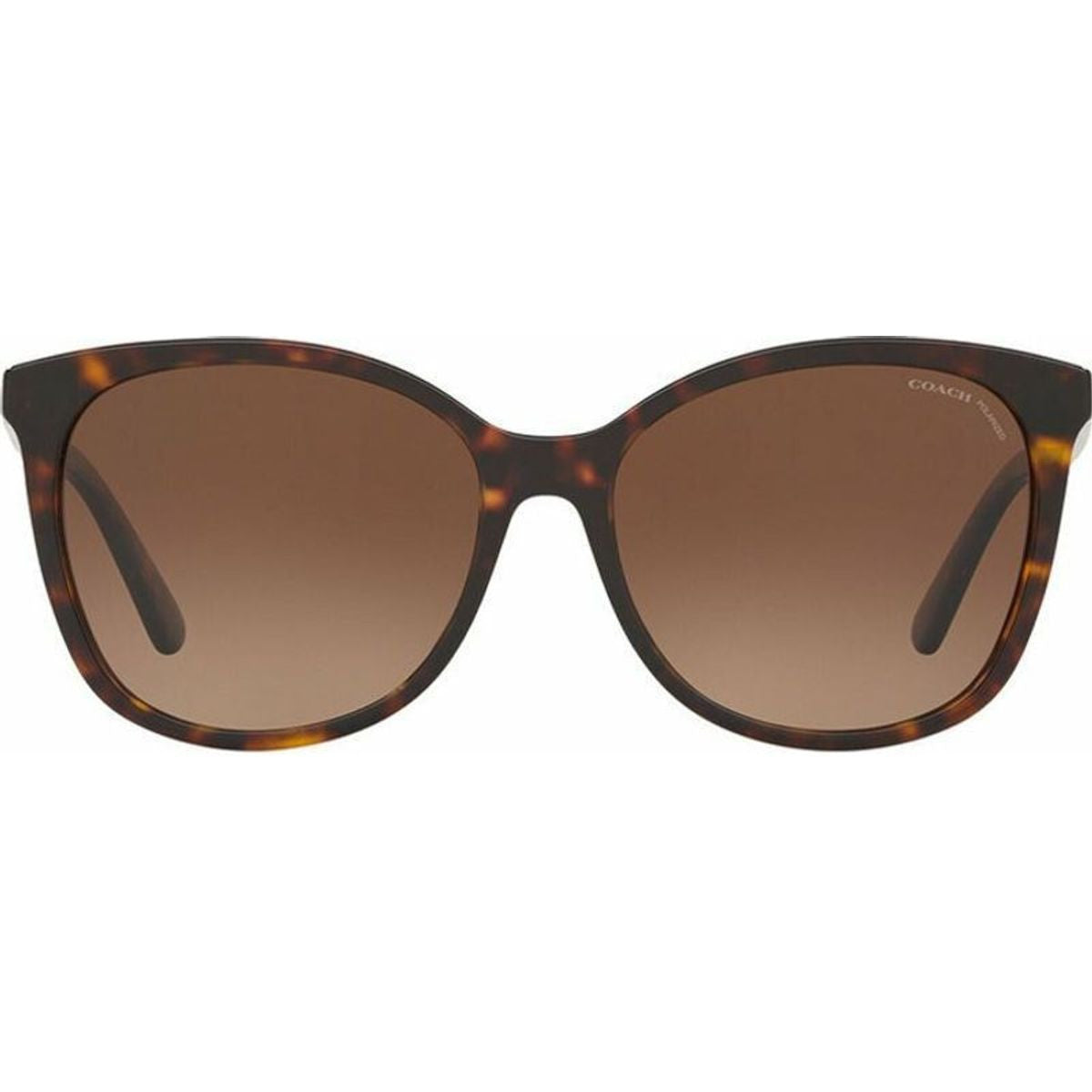 8271U, Dark Tort/Brown Gradient Polarised Lenses