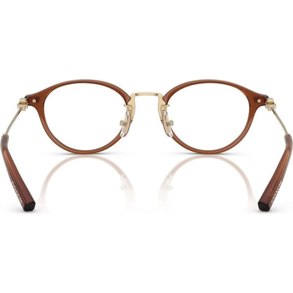 HC6268D, Transparent Brown/Clear Lenses
