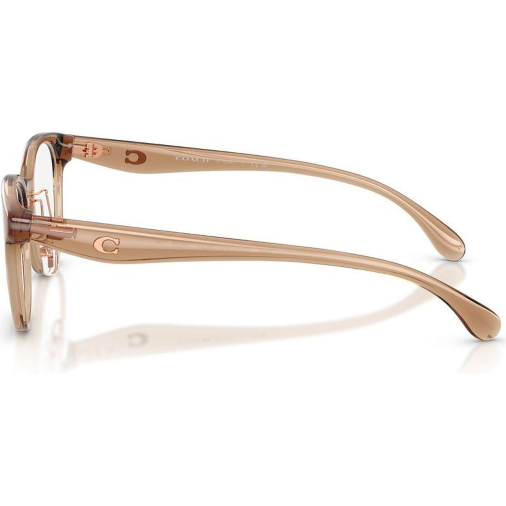 HC6294D, Transparent Beige/Clear Lenses