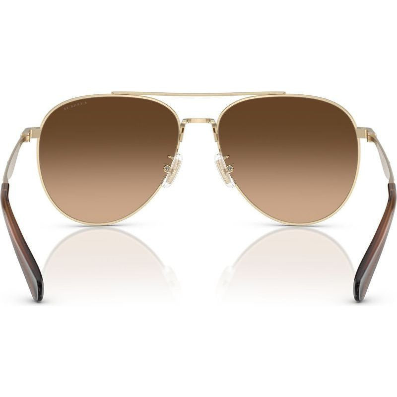 HC7169, Shiny Light Gold/Brown Gradient Lenses