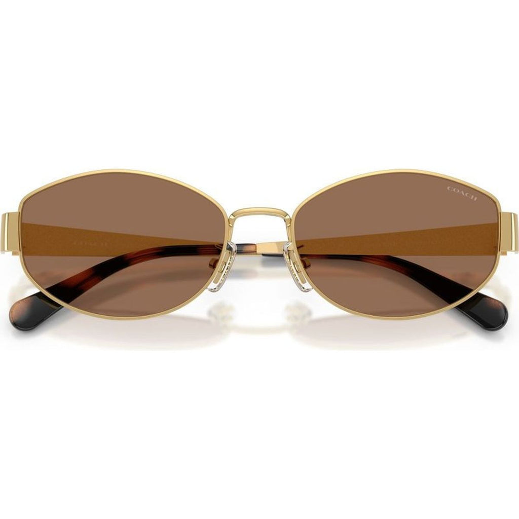 HC7192D, Shiny Gold/Dark Brown Lenses
