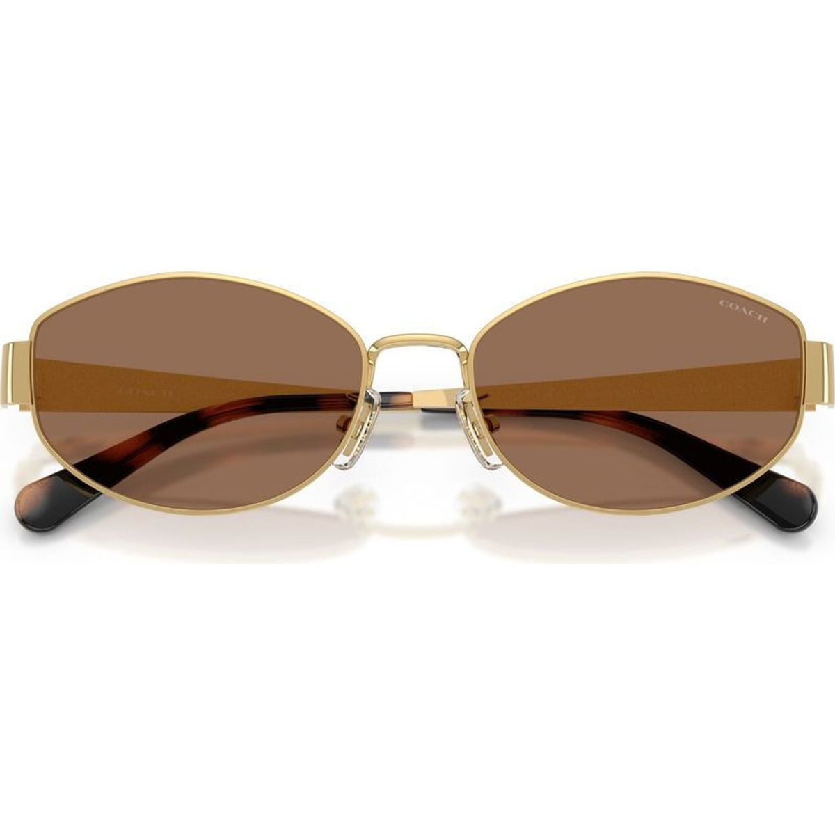 HC7192D, Shiny Gold/Dark Brown Lenses