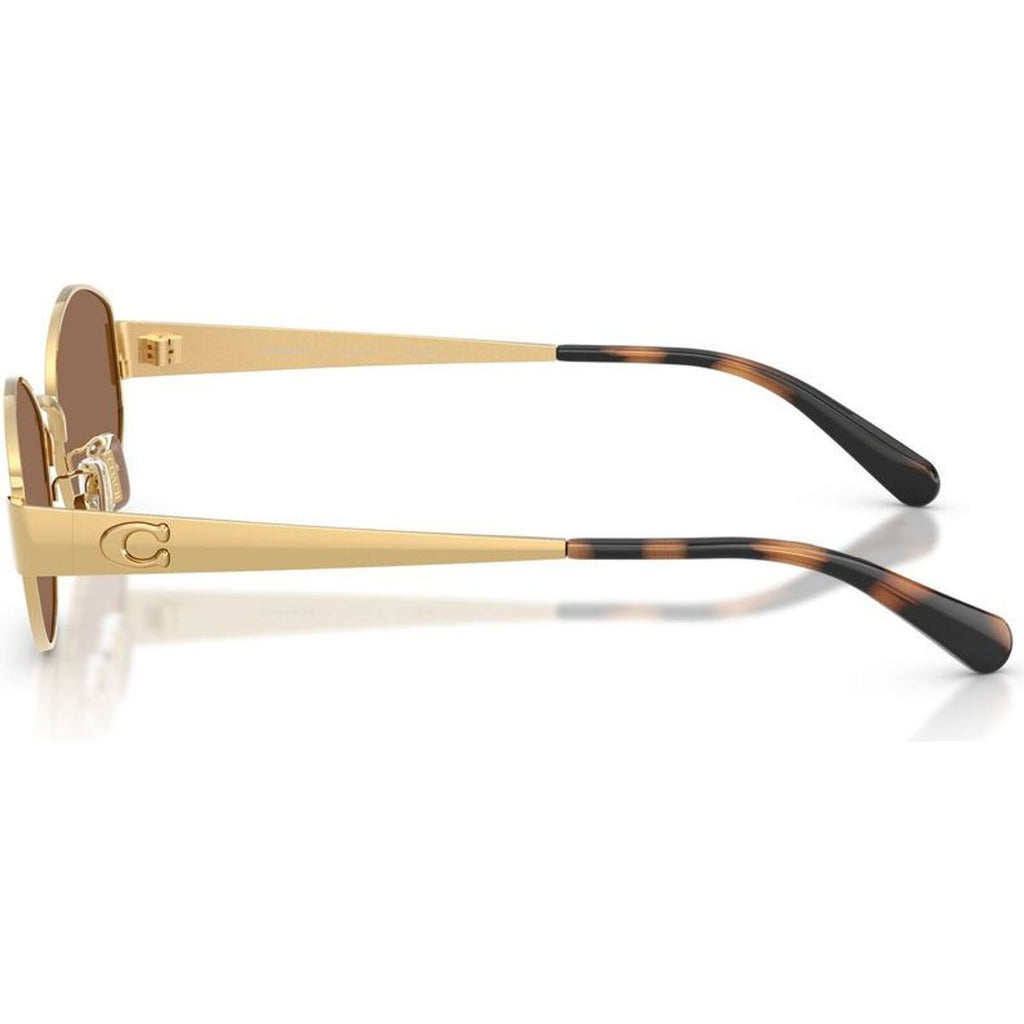 HC7192D, Shiny Gold/Dark Brown Lenses