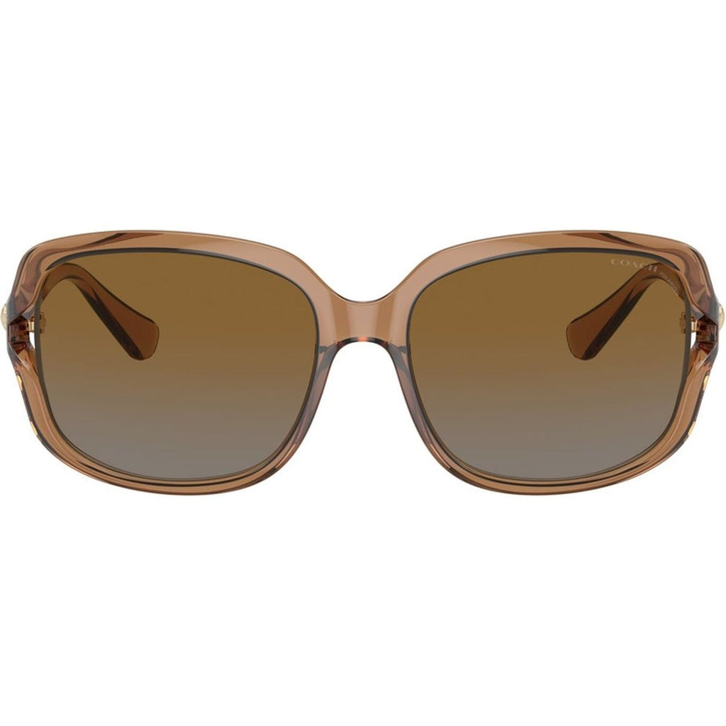 HC8169, Transparent Brown/Brown Grey Gradient Polarised Lenses
