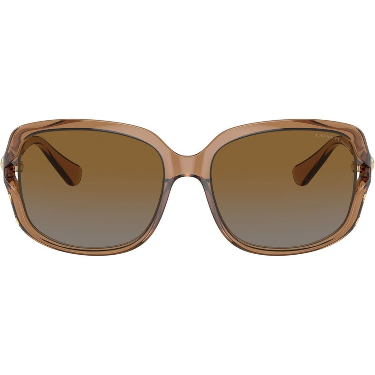 HC8169, Transparent Brown/Brown Grey Gradient Polarised Lenses
