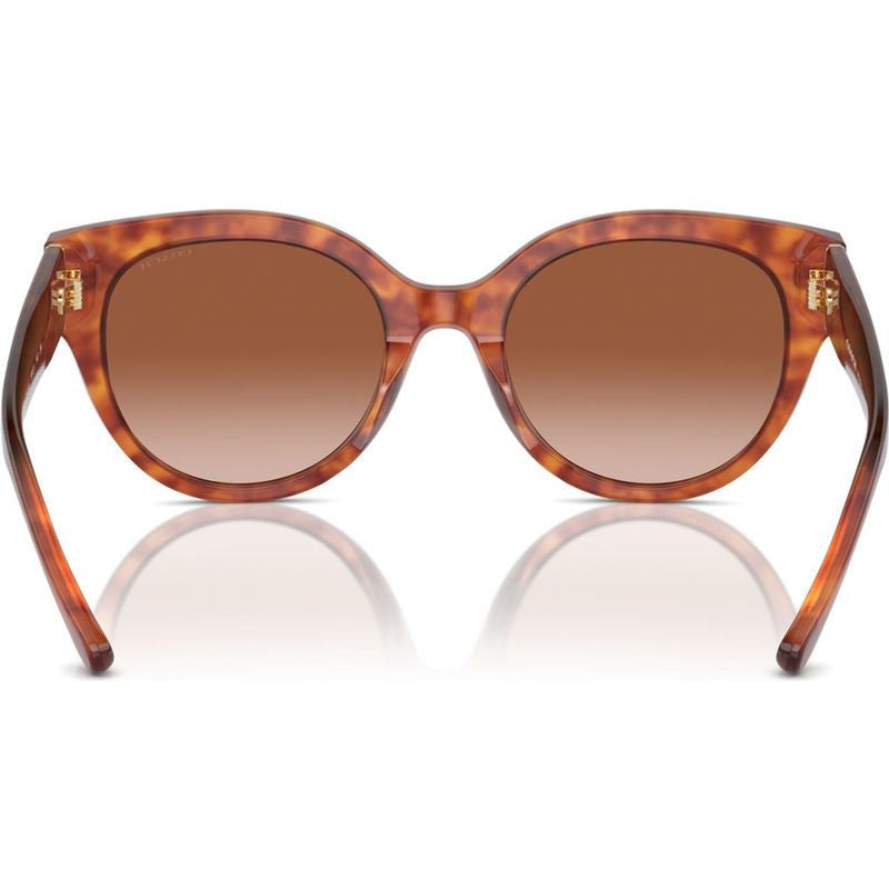HC8393U, Caramel Tortoise/Brown Gradient Lenses