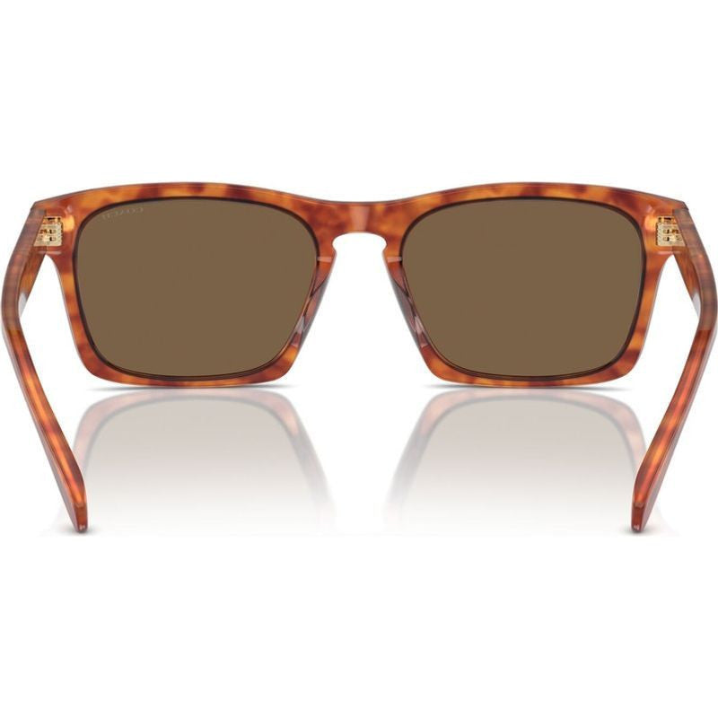 HC8397U, Caramel Tortoise/Brown Lenses