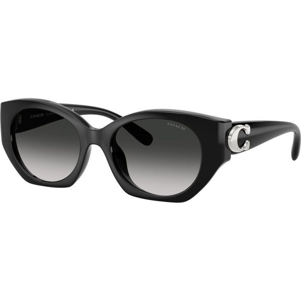 HC8407U, Black/Grey Gradient Lenses