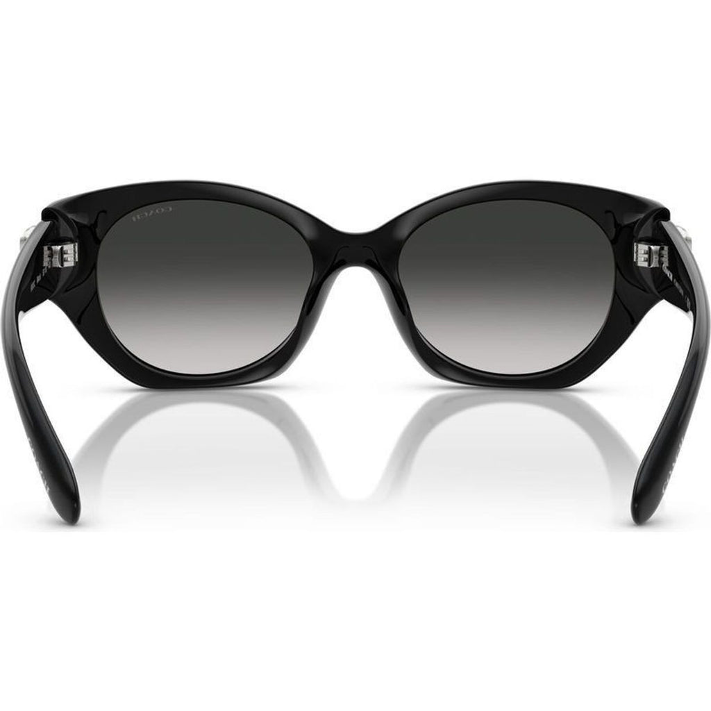 HC8407U, Black/Grey Gradient Lenses