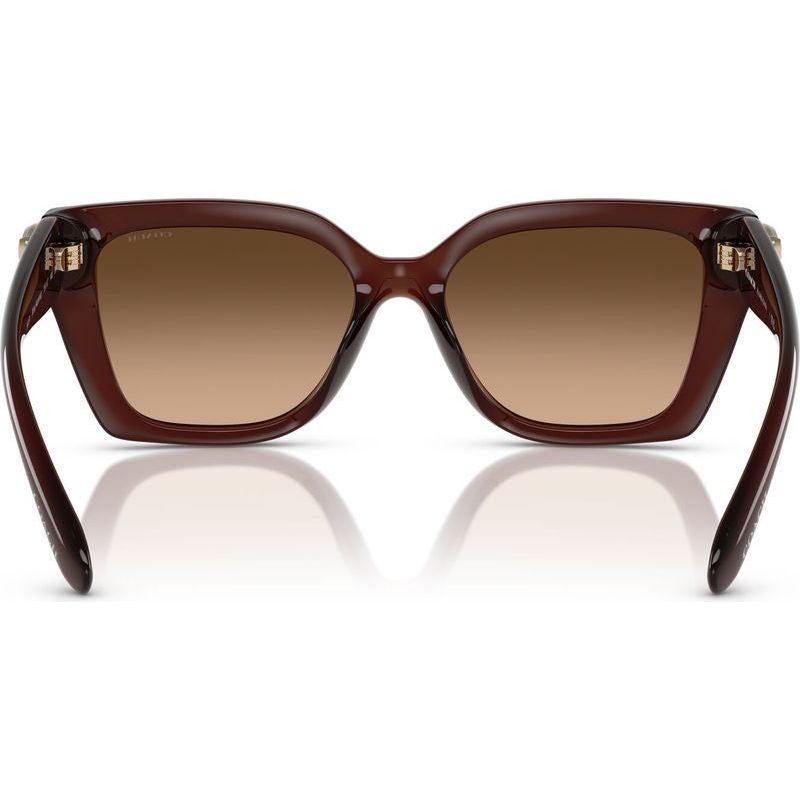 HC8408U, Milky Hazelnut/Brown Gradient Lenses