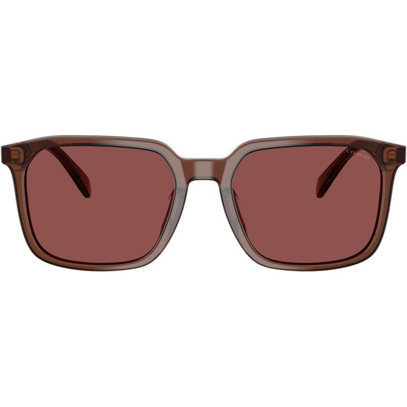 HC8411U, Transparent Mahogany/Wine Lenses