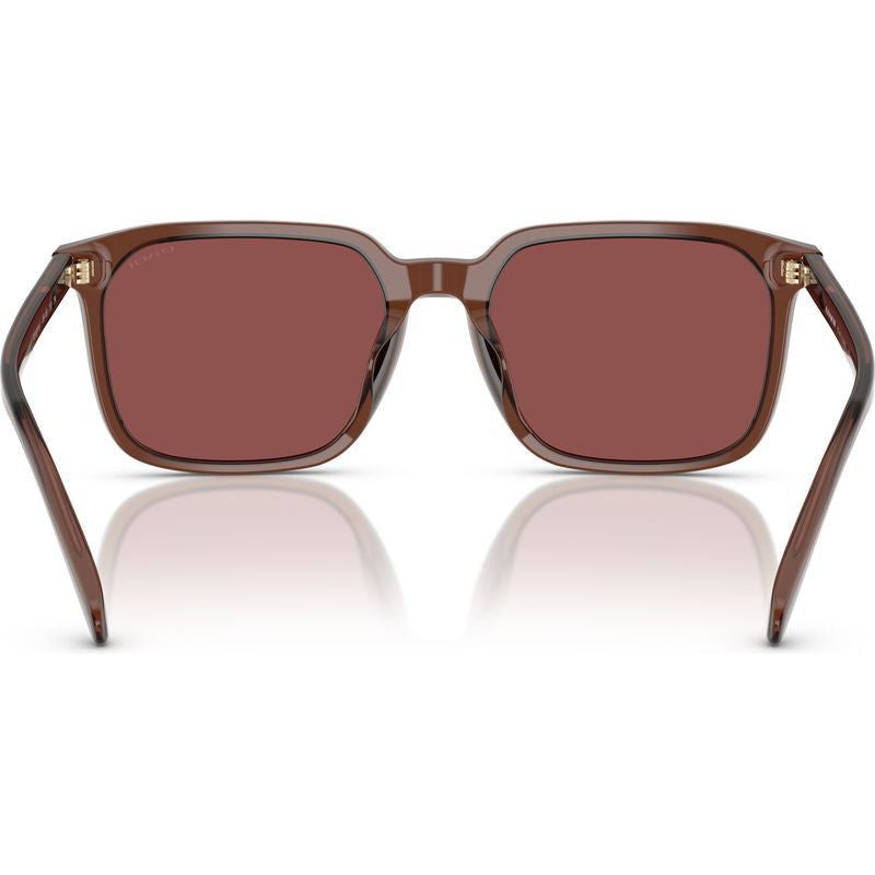 HC8411U, Transparent Mahogany/Wine Lenses