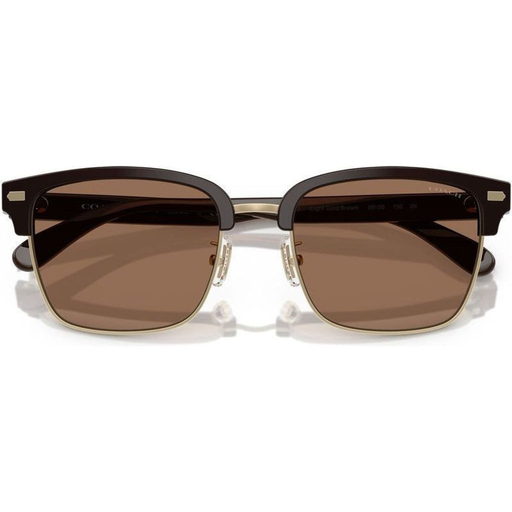 HC8412, Light Gold and Brown/Brown Lenses