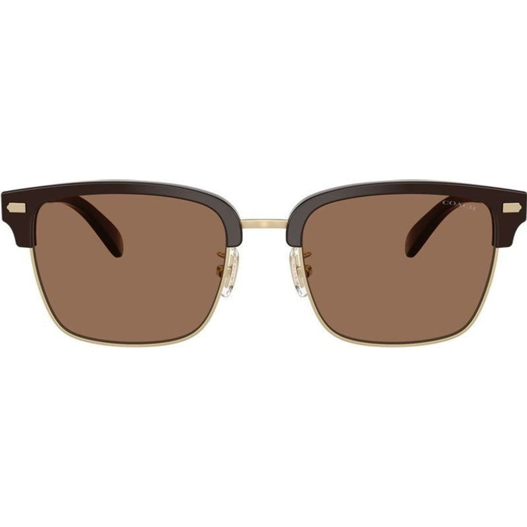 HC8412, Light Gold and Brown/Brown Lenses