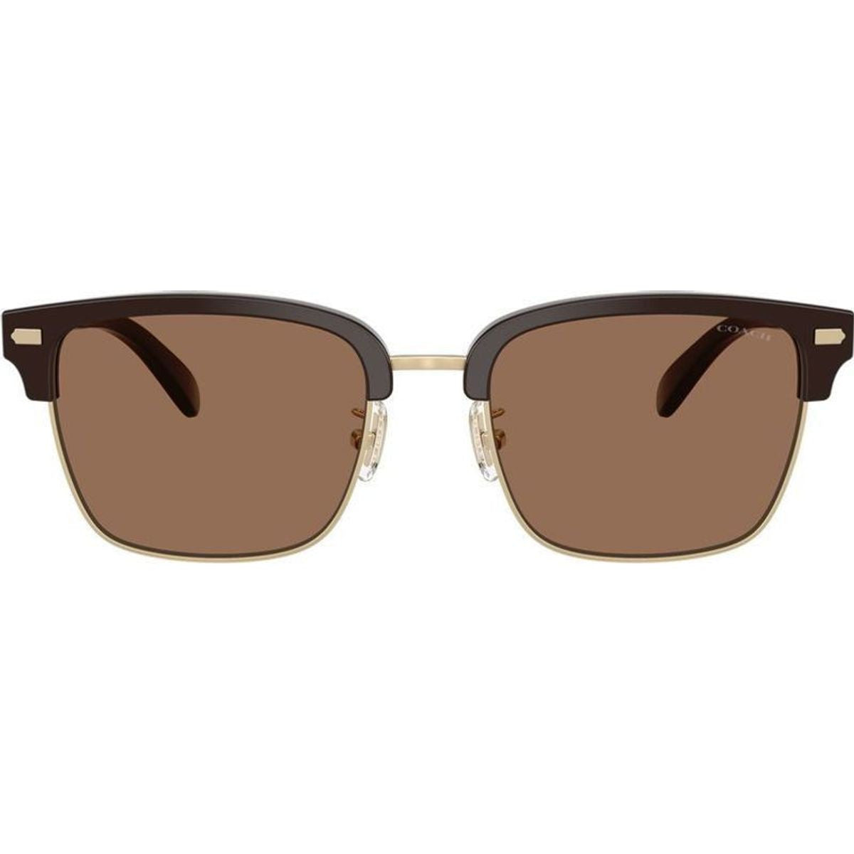 HC8412, Light Gold and Brown/Brown Lenses
