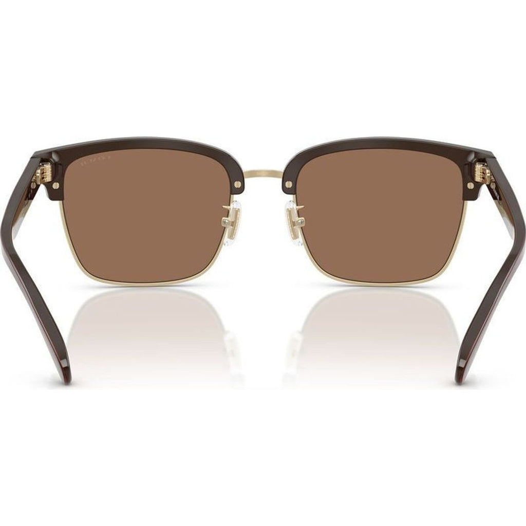 HC8412, Light Gold and Brown/Brown Lenses