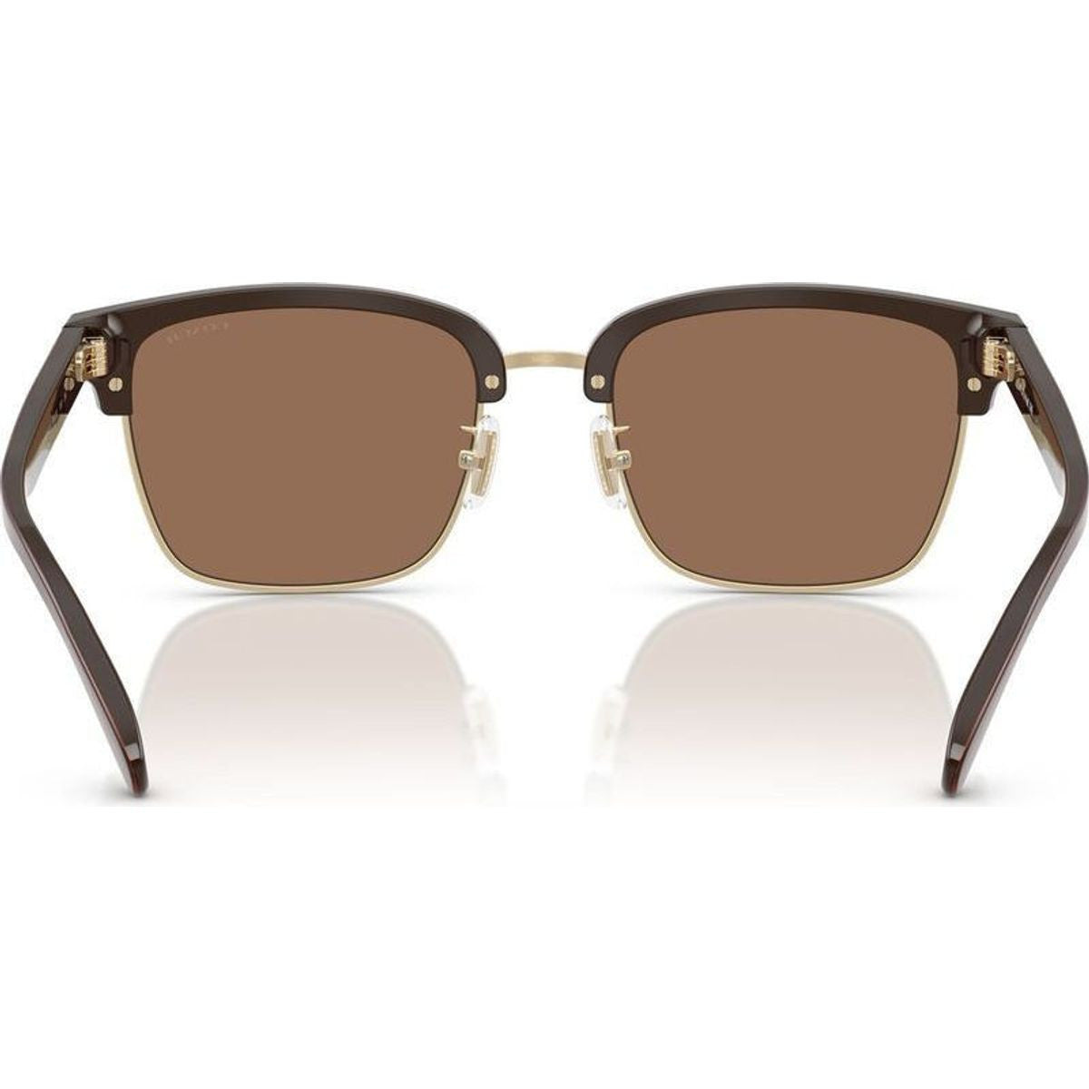 HC8412, Light Gold and Brown/Brown Lenses
