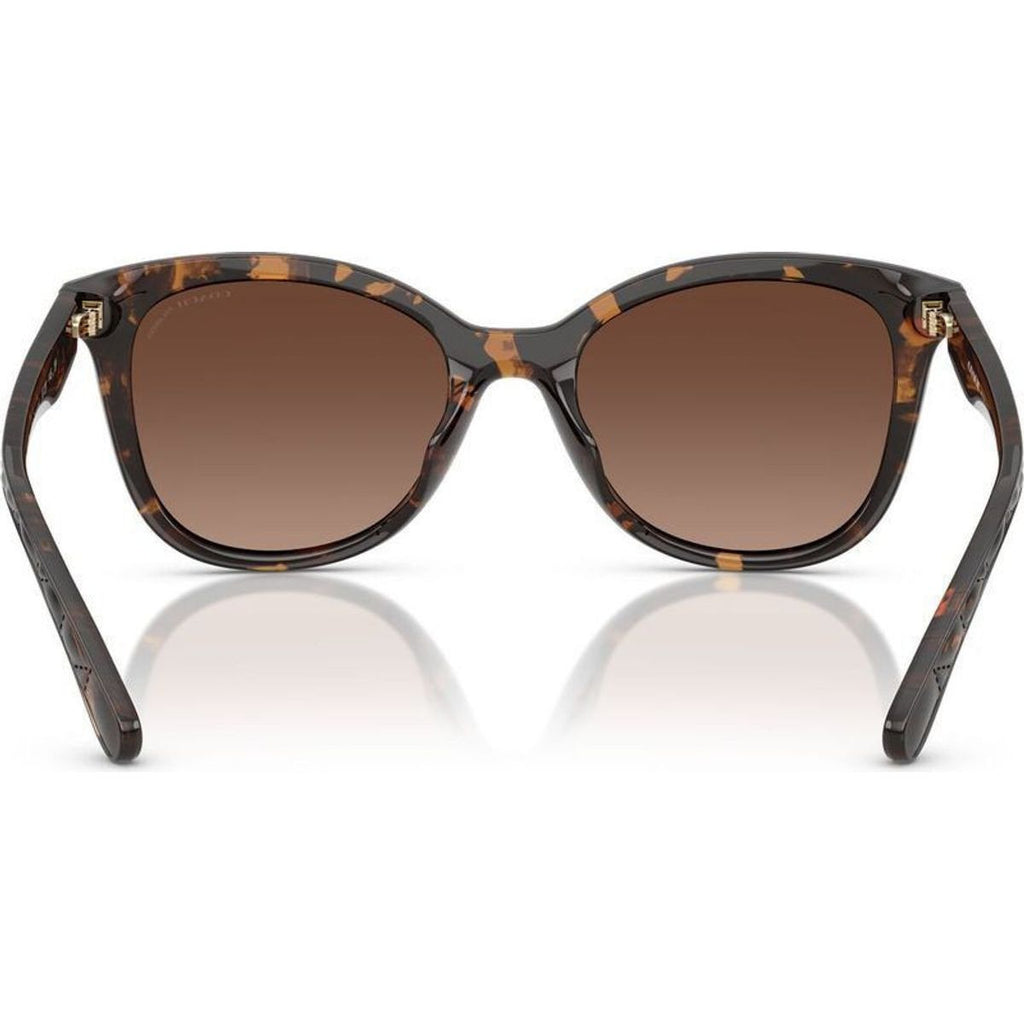 HC8419U, Dark Tortoise/Brown Gradient Polarised Lenses