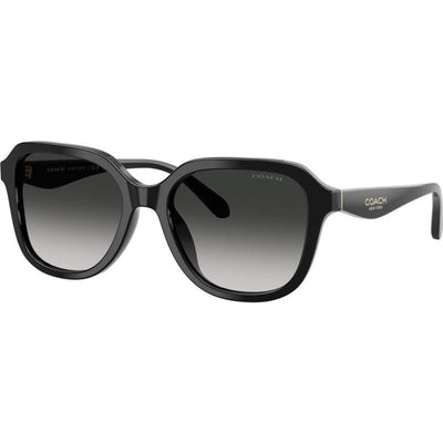 HC8437F, Black/Grey Gradient Lenses