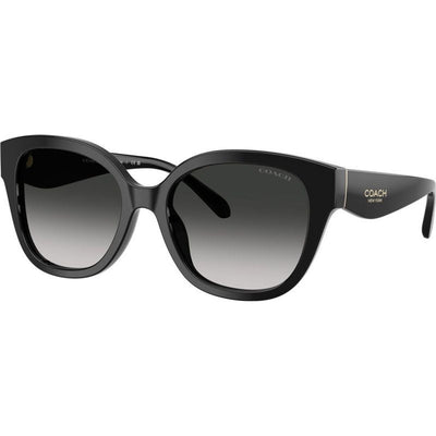 HC8438U, Black/Grey Gradient Lenses