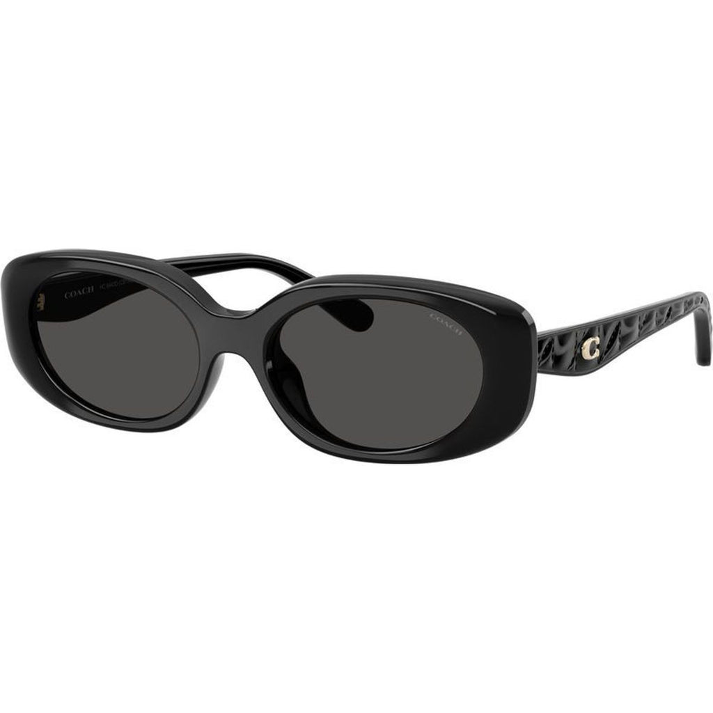HC8443D, Black/Grey Lenses