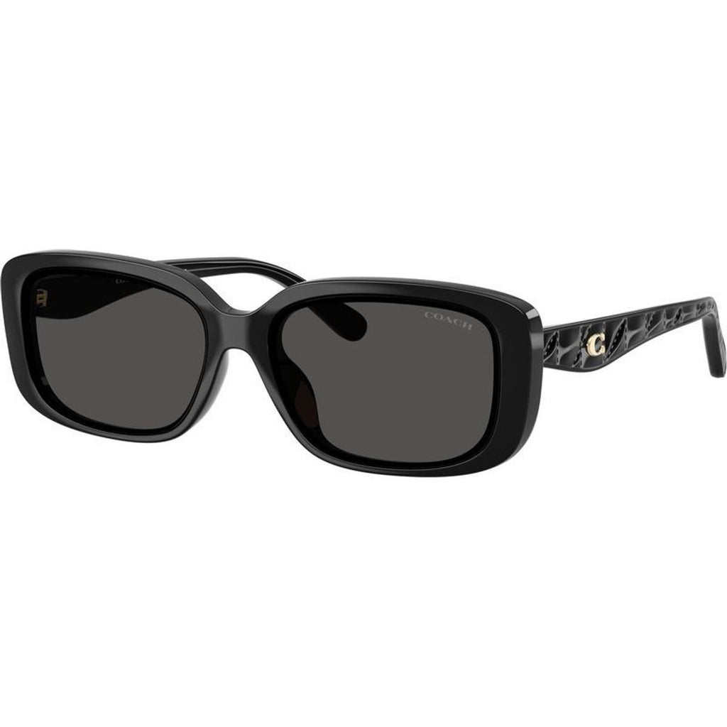 HC8444D, Black/Grey Lenses