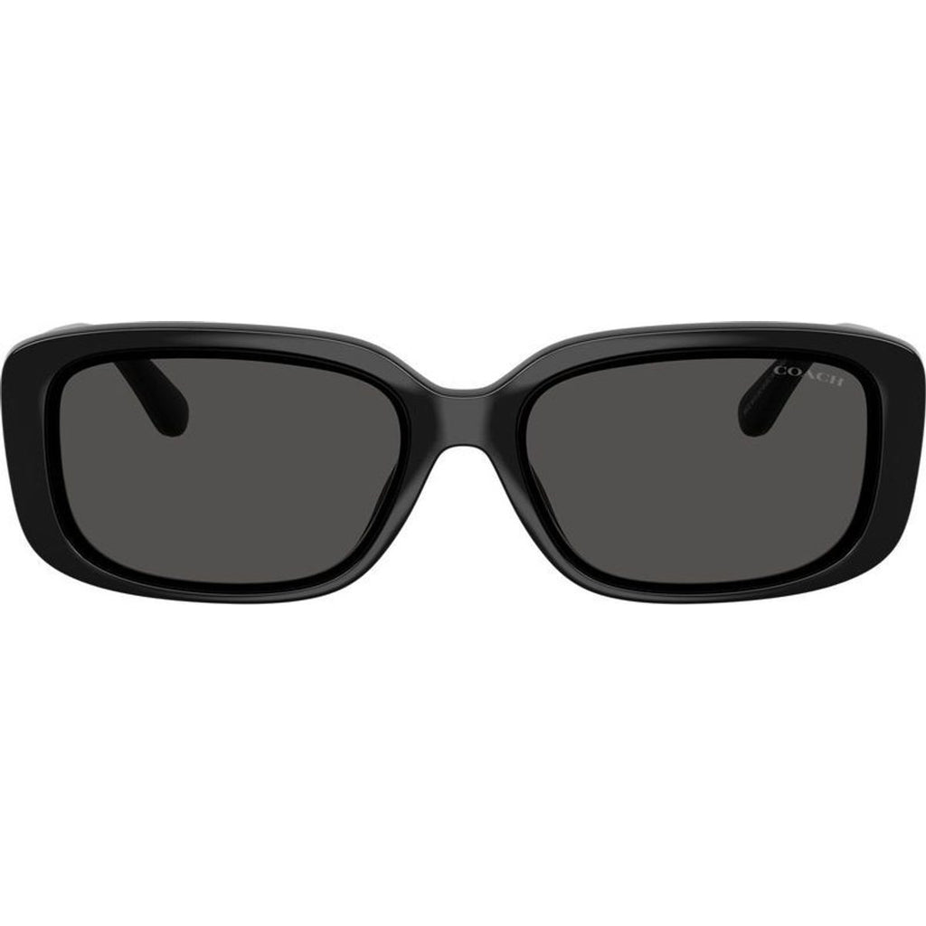 HC8444D, Black/Grey Lenses