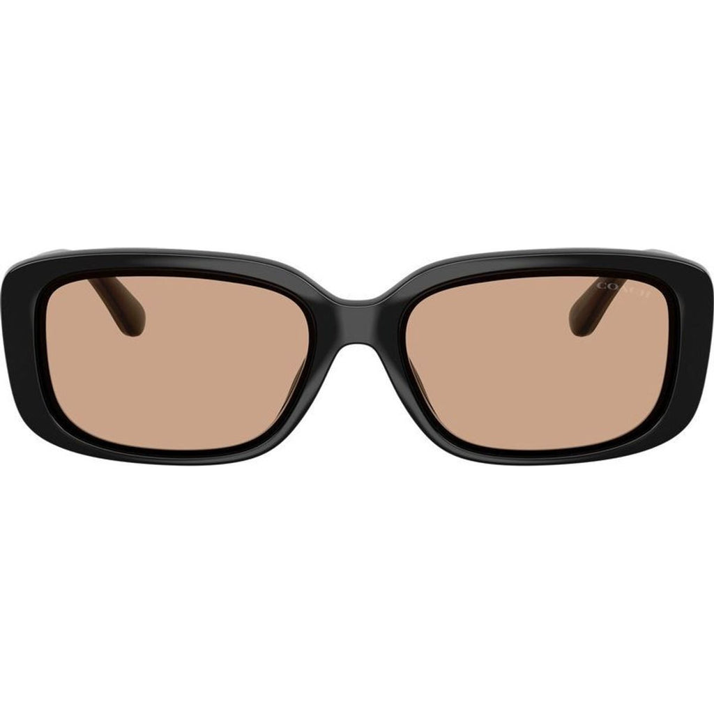 HC8444D, Black/Light Brown Lenses