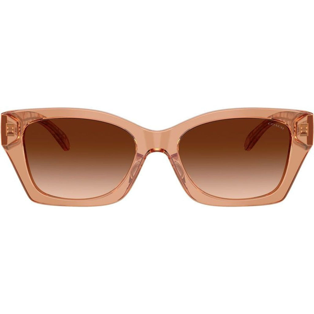 HC8451U, Transparent Brown/Brown Gradient Lenses