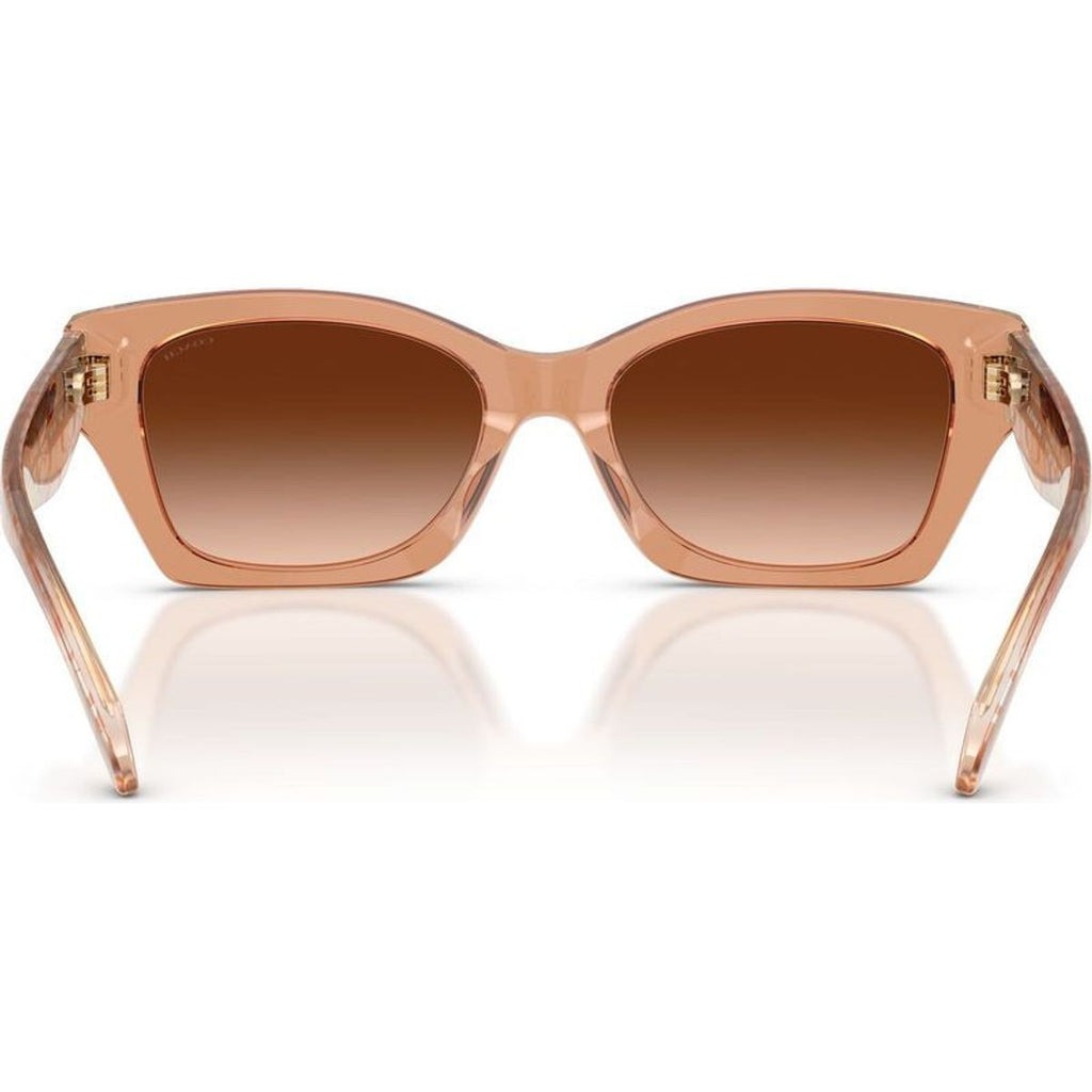 HC8451U, Transparent Brown/Brown Gradient Lenses