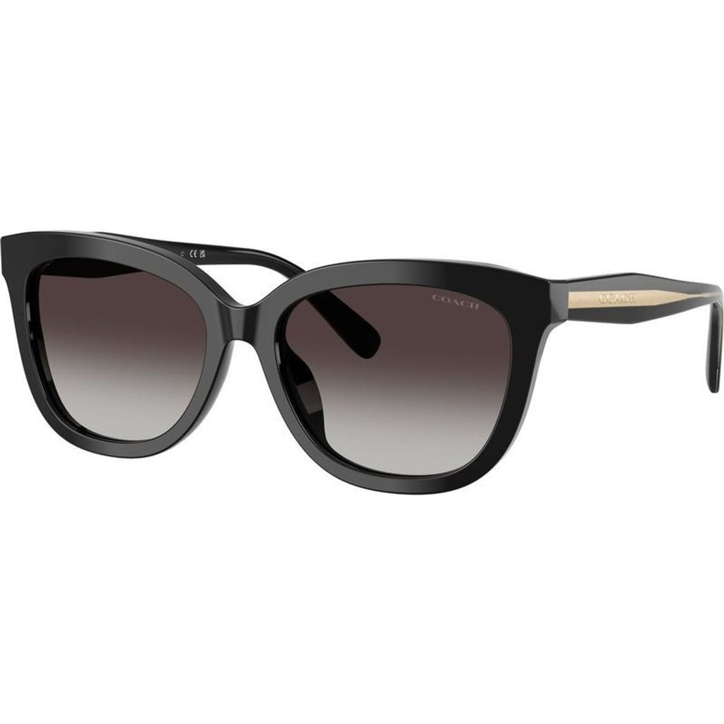 HC8453U, Black/Grey Gradient Lenses