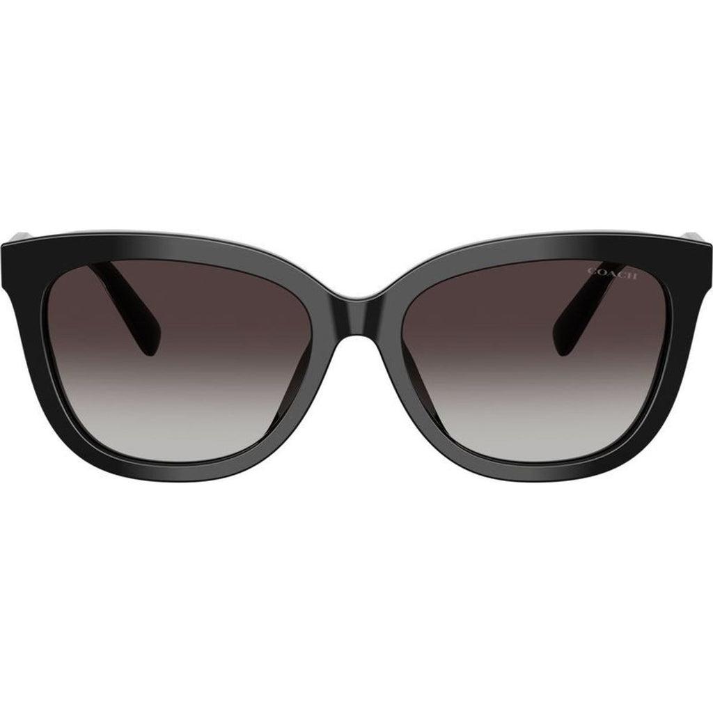 HC8453U, Black/Grey Gradient Lenses
