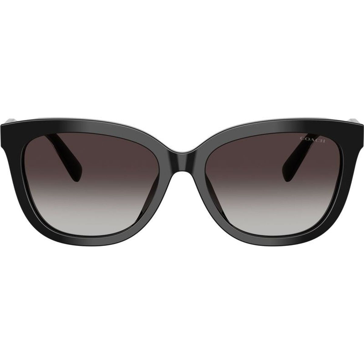 HC8453U, Black/Grey Gradient Lenses