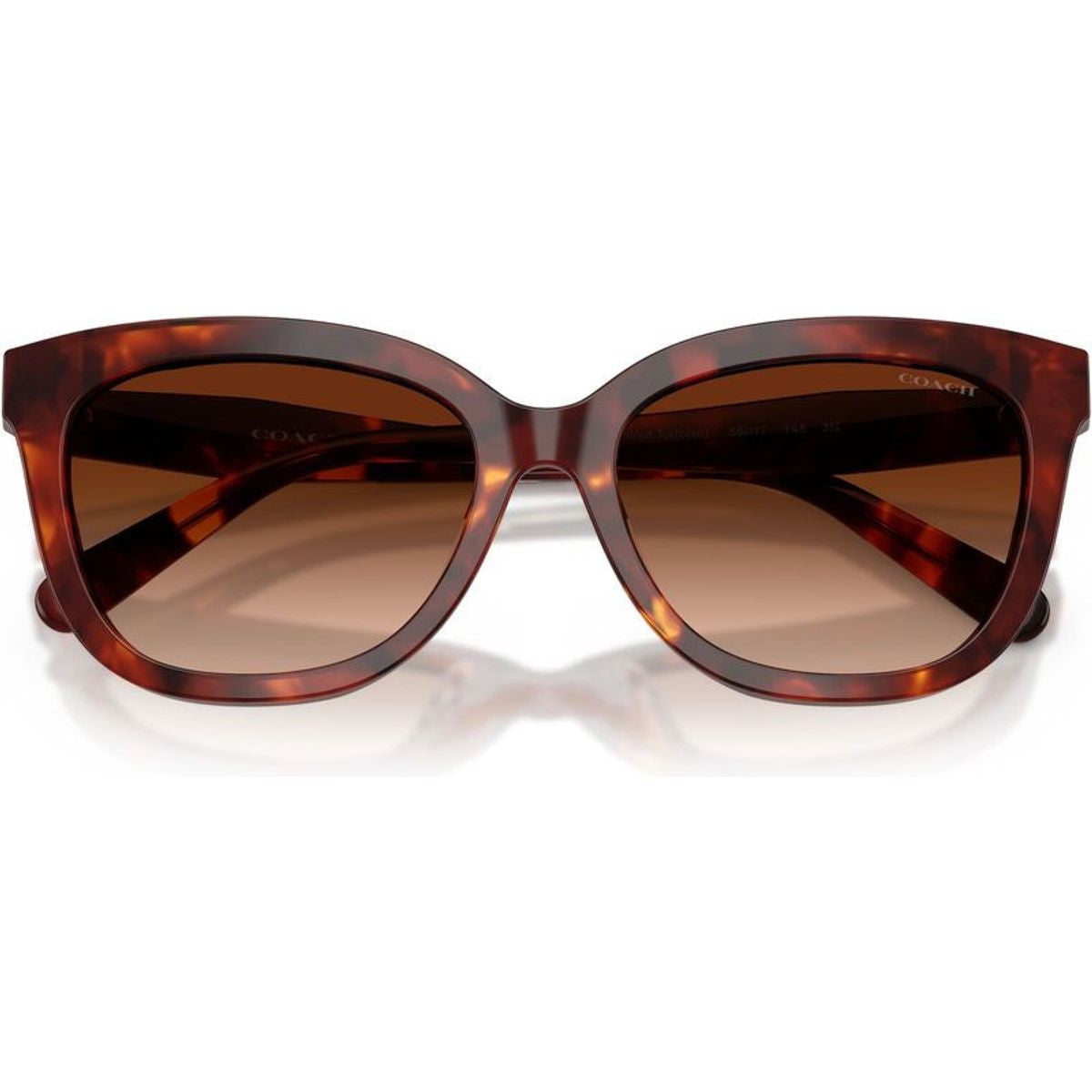 HC8453U, Walnut Tortoise/Brown Gradient Lenses