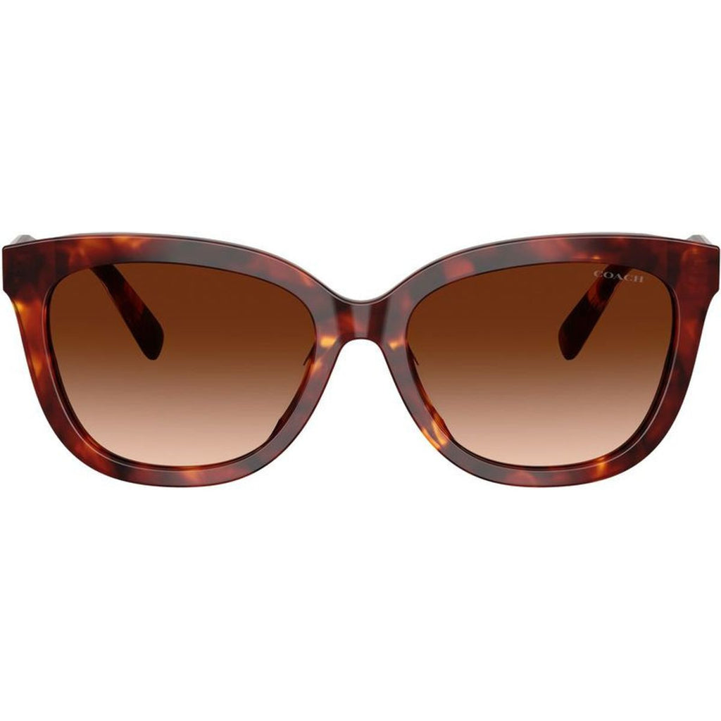 HC8453U, Walnut Tortoise/Brown Gradient Lenses